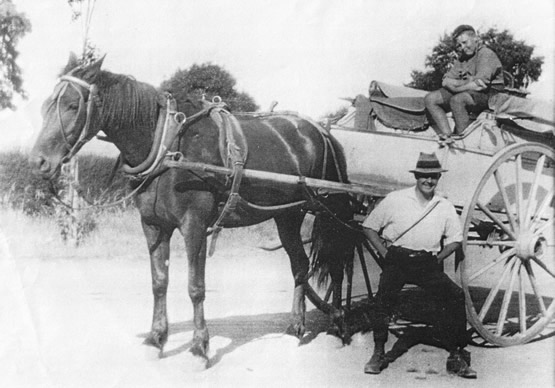 Bread delivery 1921, W.R. (Bill) Lintott with bread delivery cart used before motorcycle and sidecar. Bread delivery 1921