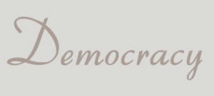 Democracy clothing logo