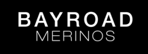 Bayroad Merinos logo